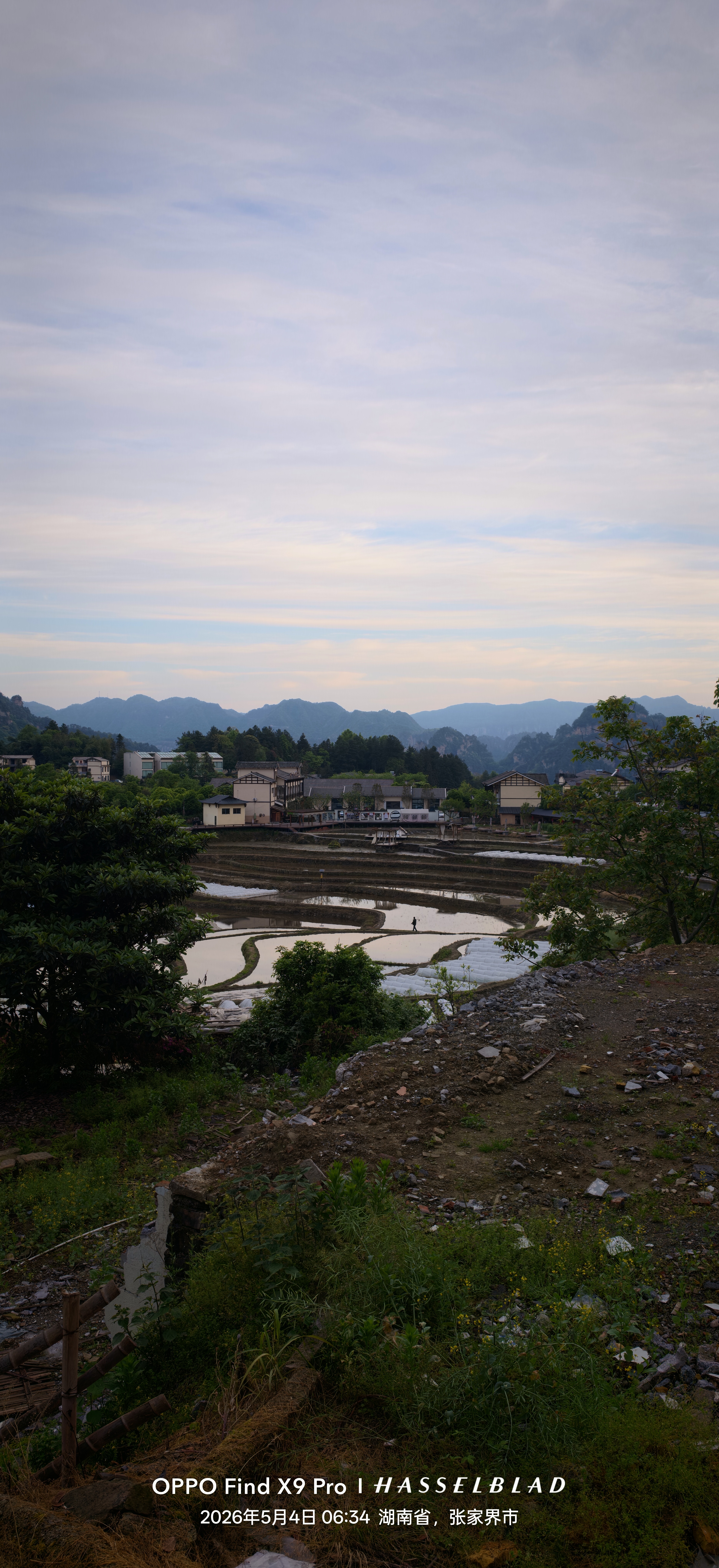 清晨，武陵源一起过五一 张家界·武陵源风景区