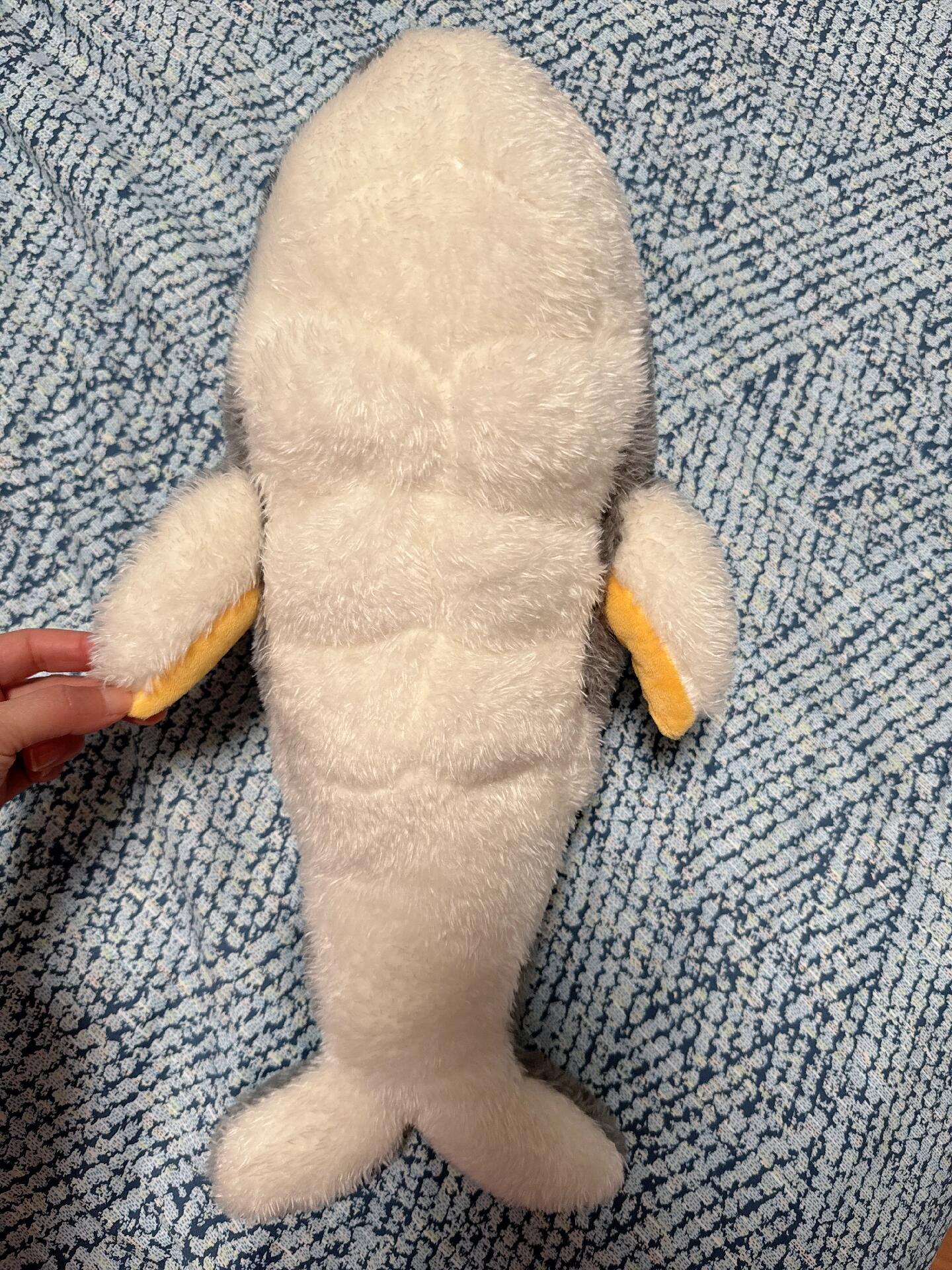 《现在就出发3》官方周边又上新了懵懵鲸出了40cm版本！随手晒！图③～⑥是📕看