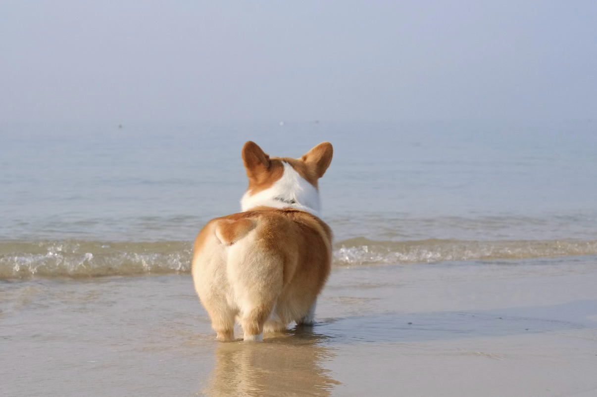 玩加夜话 今天是上班最后一天啦～大家想好周末做什么了吗？2025lpl2025l