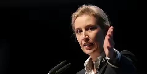 德国选择党领袖魏德尔1月26日公开表示，如果她上台执政，将会向乌克兰提出索赔，要