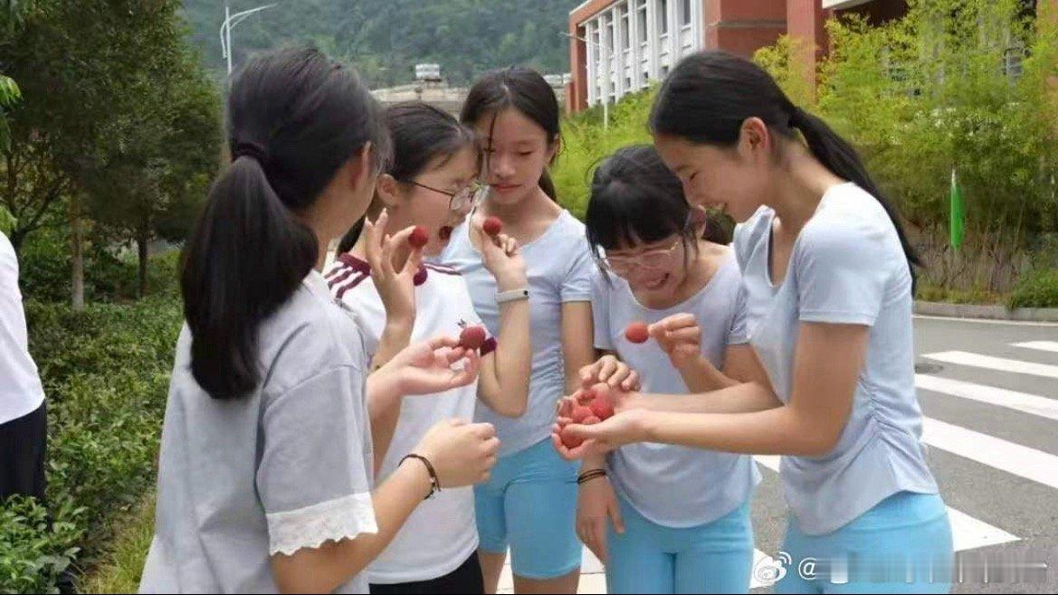 丽水青田这所学校把热带果园搬进校园从日常养护观察，到亲手采摘收获，学生跳出书本的