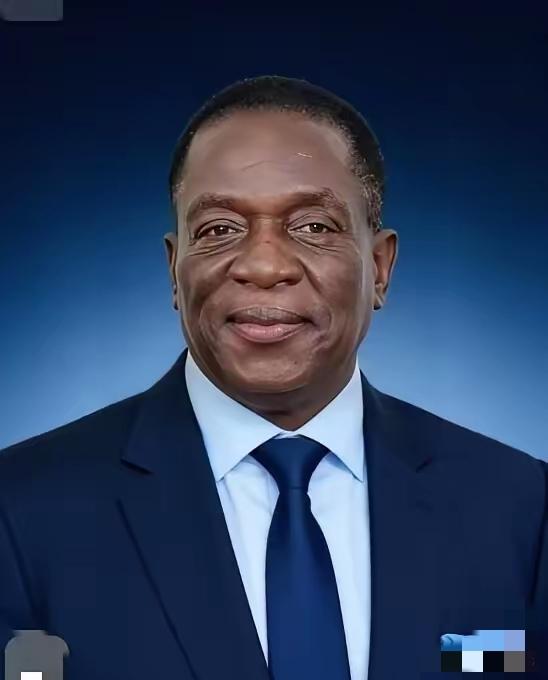 前脚巴拿马不顾中方反对，强行接管了巴拿马港口，后脚津巴布韦突然宣布暂停锂矿出口。