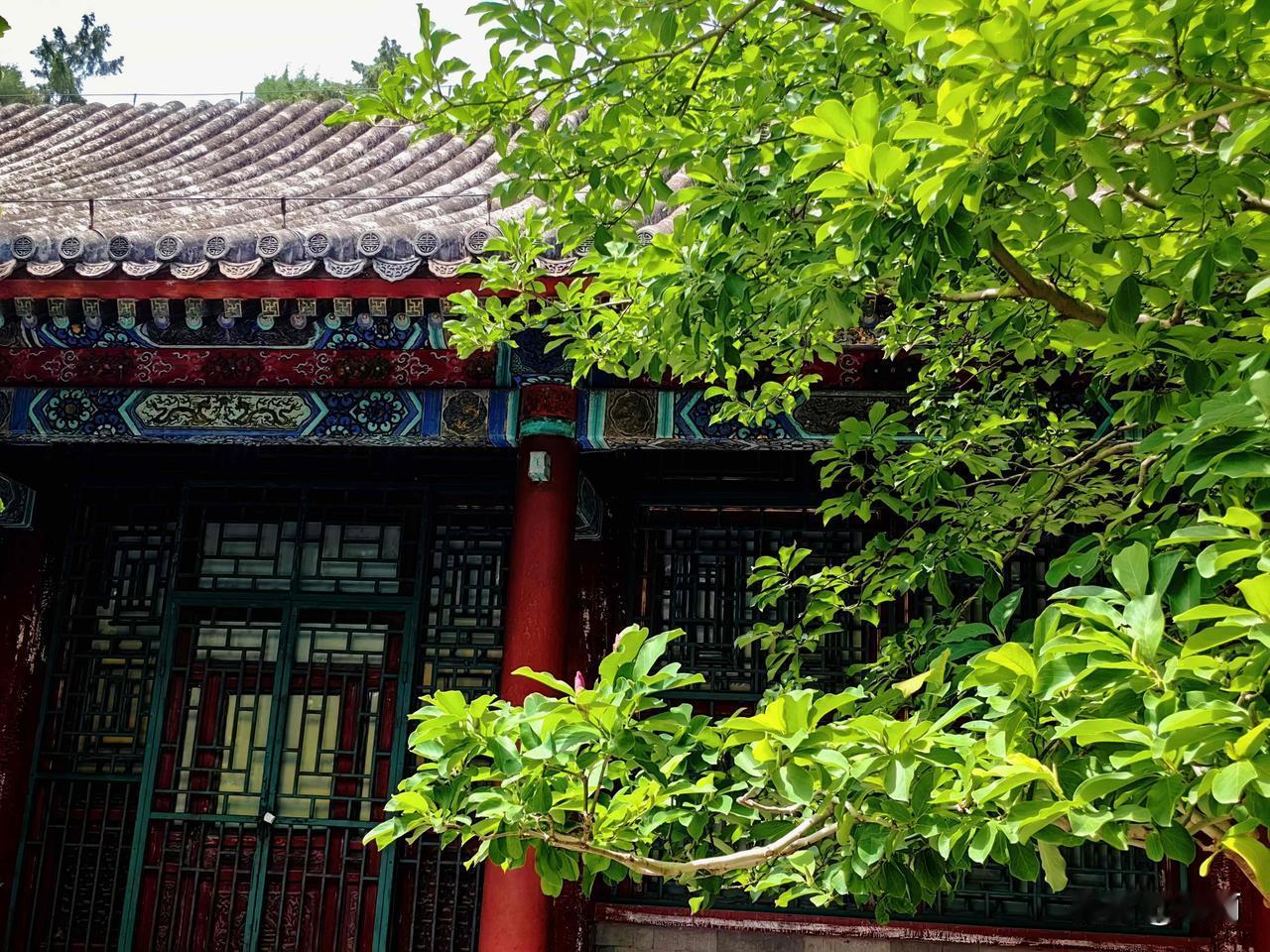 秋燥来袭，老年人饮食记住这几点

秋高气爽，晴天增多，空气湿度随之下降，燥感会格