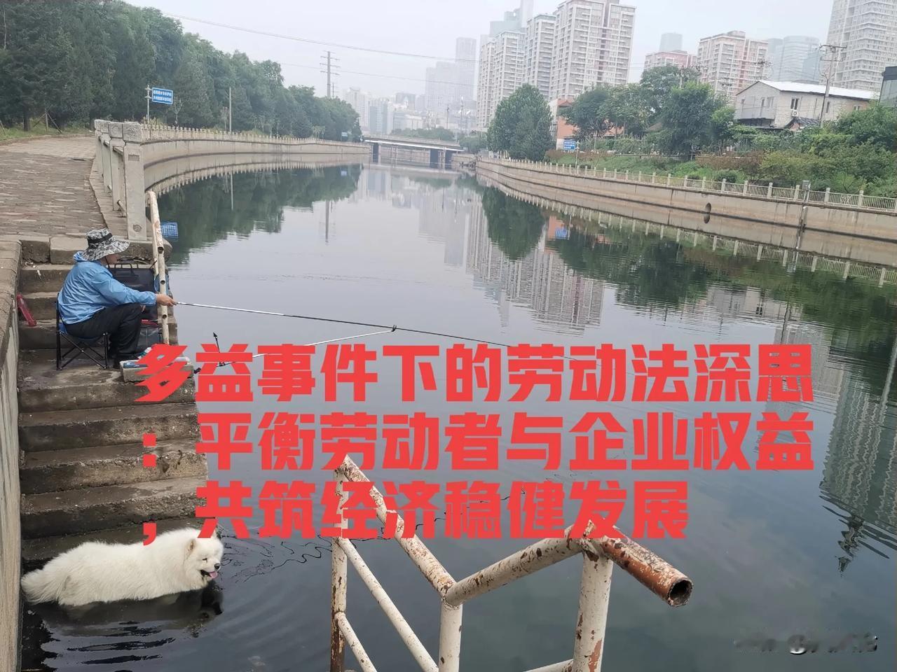 近日，多益网络因开除一名员工而引发的劳动纠纷案件，再次将劳动法的执行与民营企业经