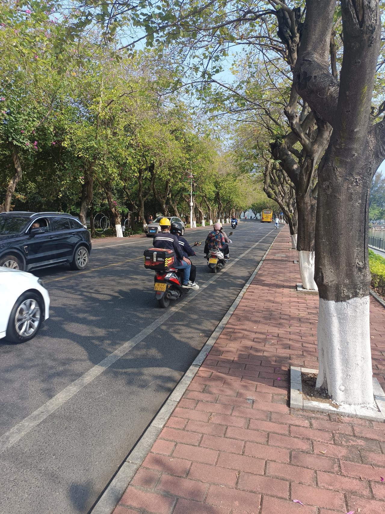 我终于知道了
肇庆市虽然是个45线城市，但拥有两个5a级风景区
却依然没有什么人