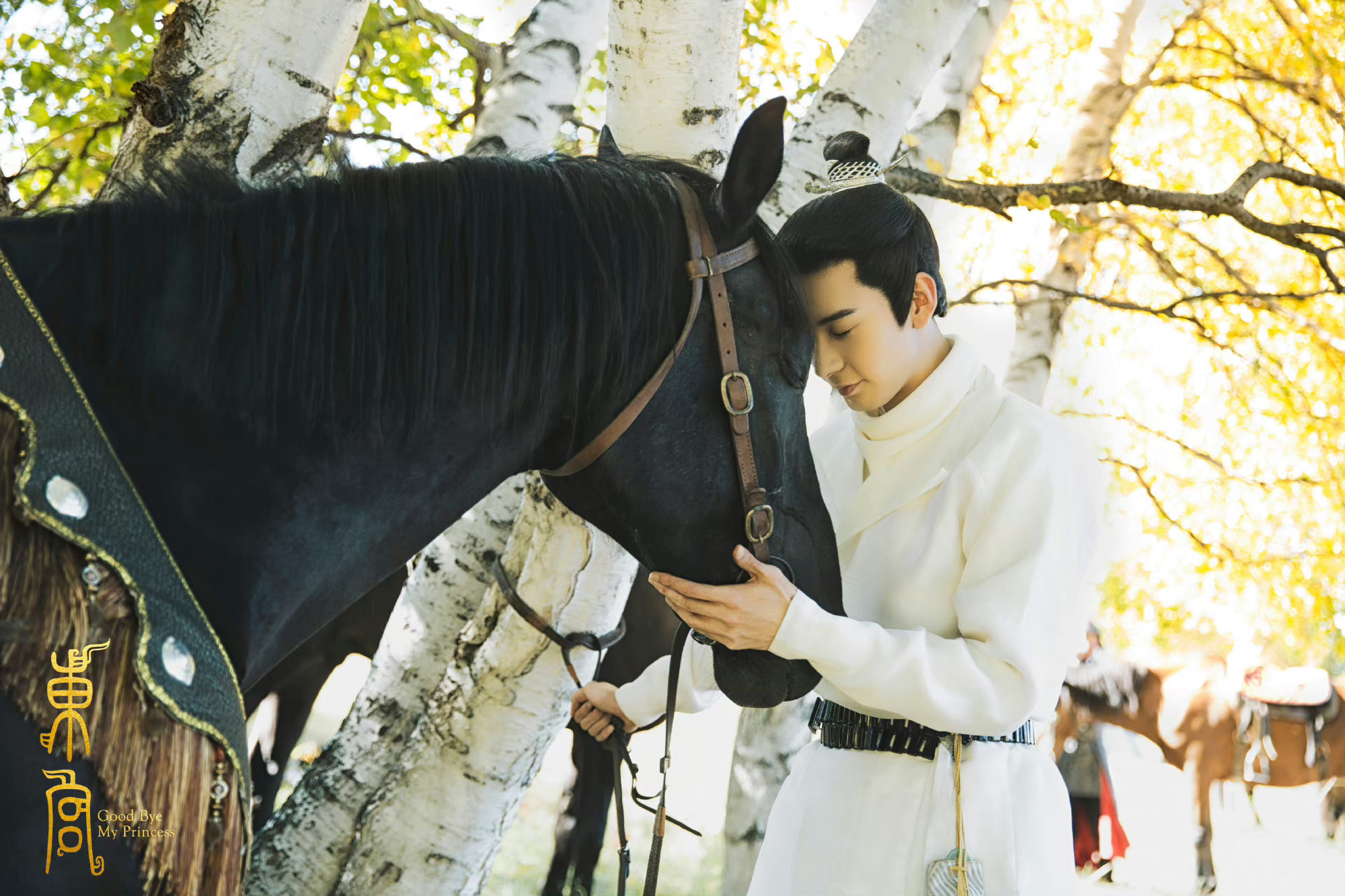 中原的水，中原的山。 陈星旭肖稚宇📚陈星旭炎拓