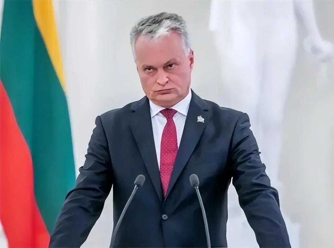 立陶宛最后的结果，也只能等到一片寂寞。
25日，立陶宛议会外事委员会主席莫图扎斯