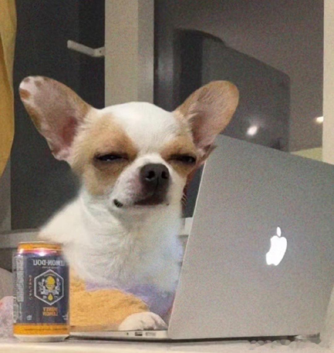 比赛开始！冲！！！不可驯服门兴格拉德巴赫  cr：门兴格拉德巴赫足球俱乐部 