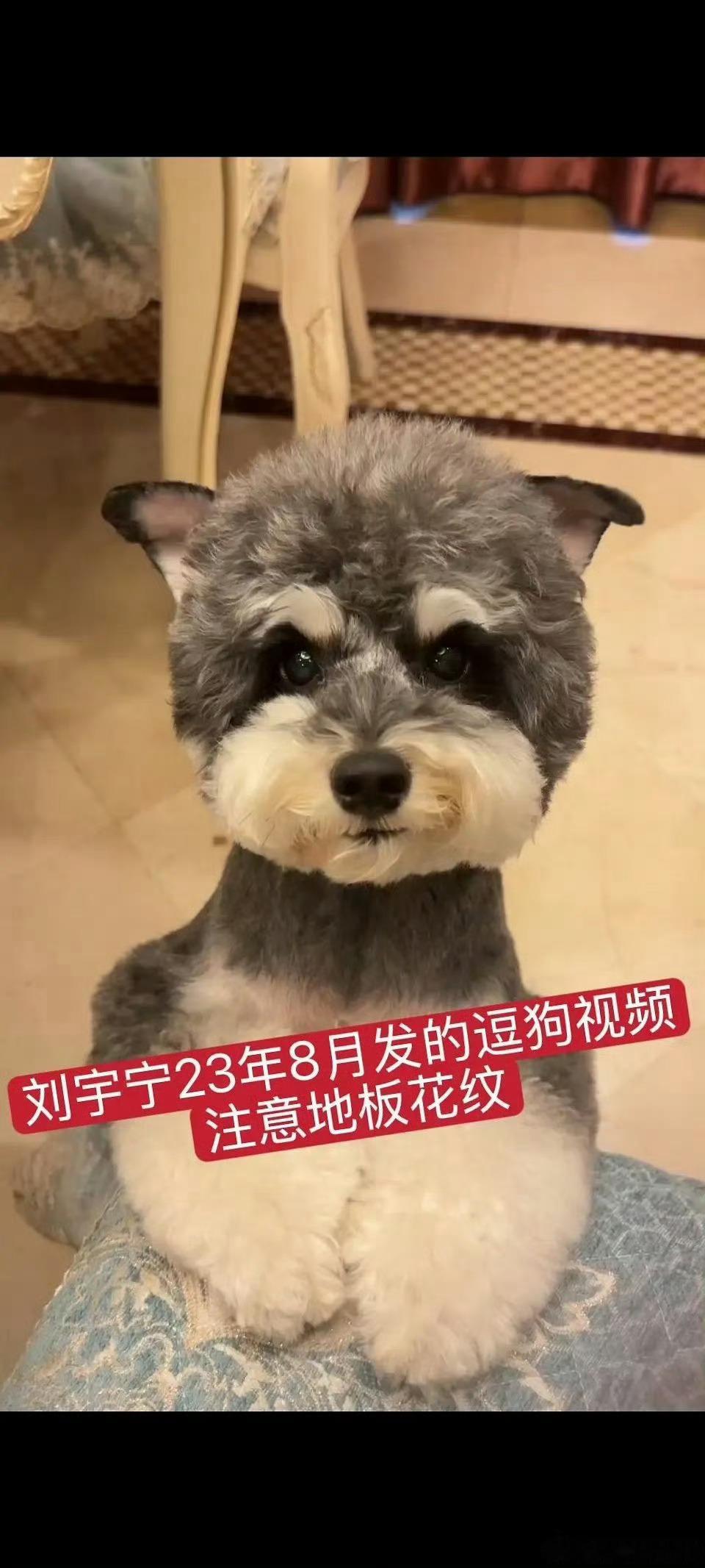 这些地板和桌子能作为锤吗现在就是拍到也有不认的，更何况这种没拍到的，不过确实很搞