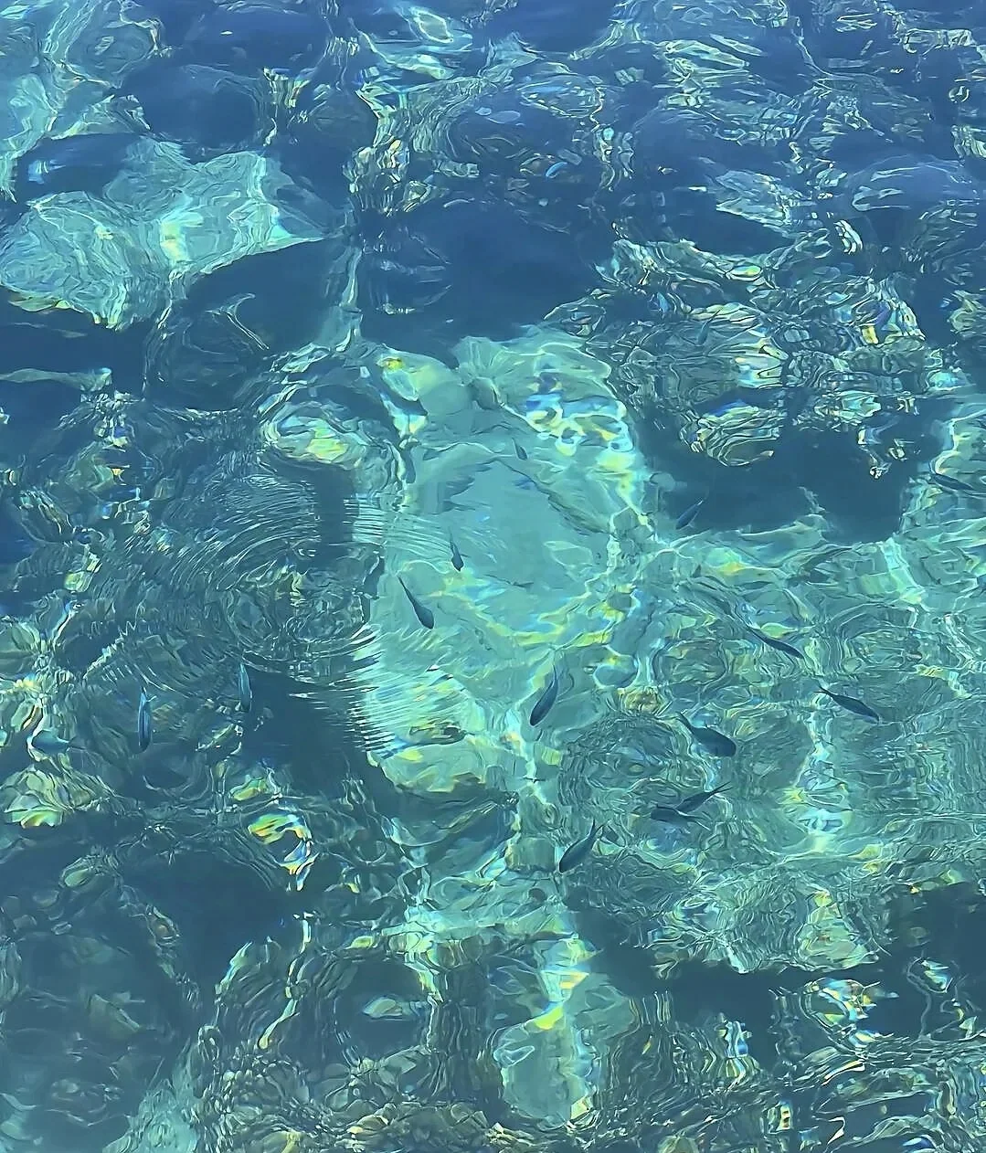 9月涠洲岛出海浮潜钓鱼真不贵啦260/位🐠