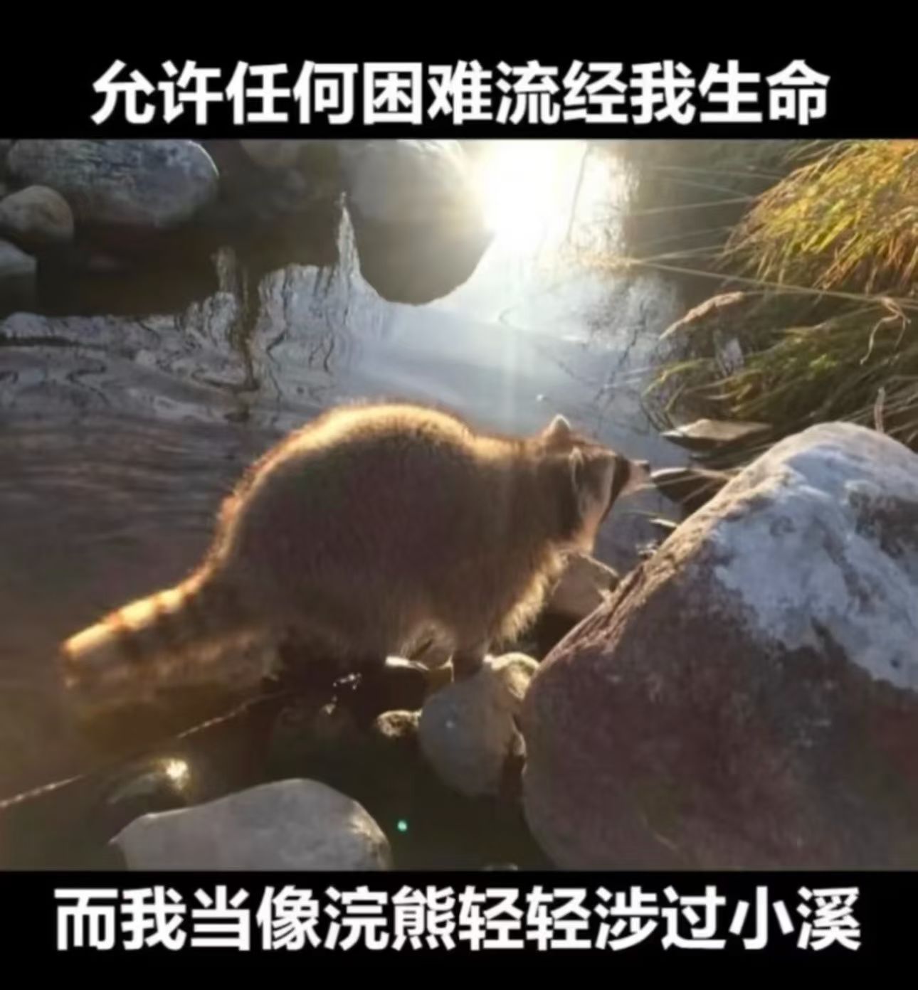 很多游戏里的好友悄悄消失了，因为他们厌倦了这个游戏，去玩别的游戏了。我觉得那些离