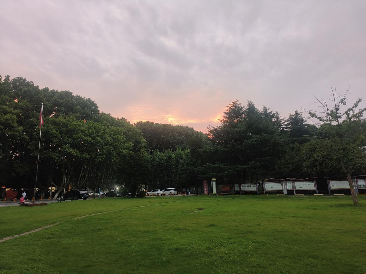 每天傍晚去小锻炼的地方，修剪后的草坪又长出新草了，像绿色地毯，这么美丽幽静的地方