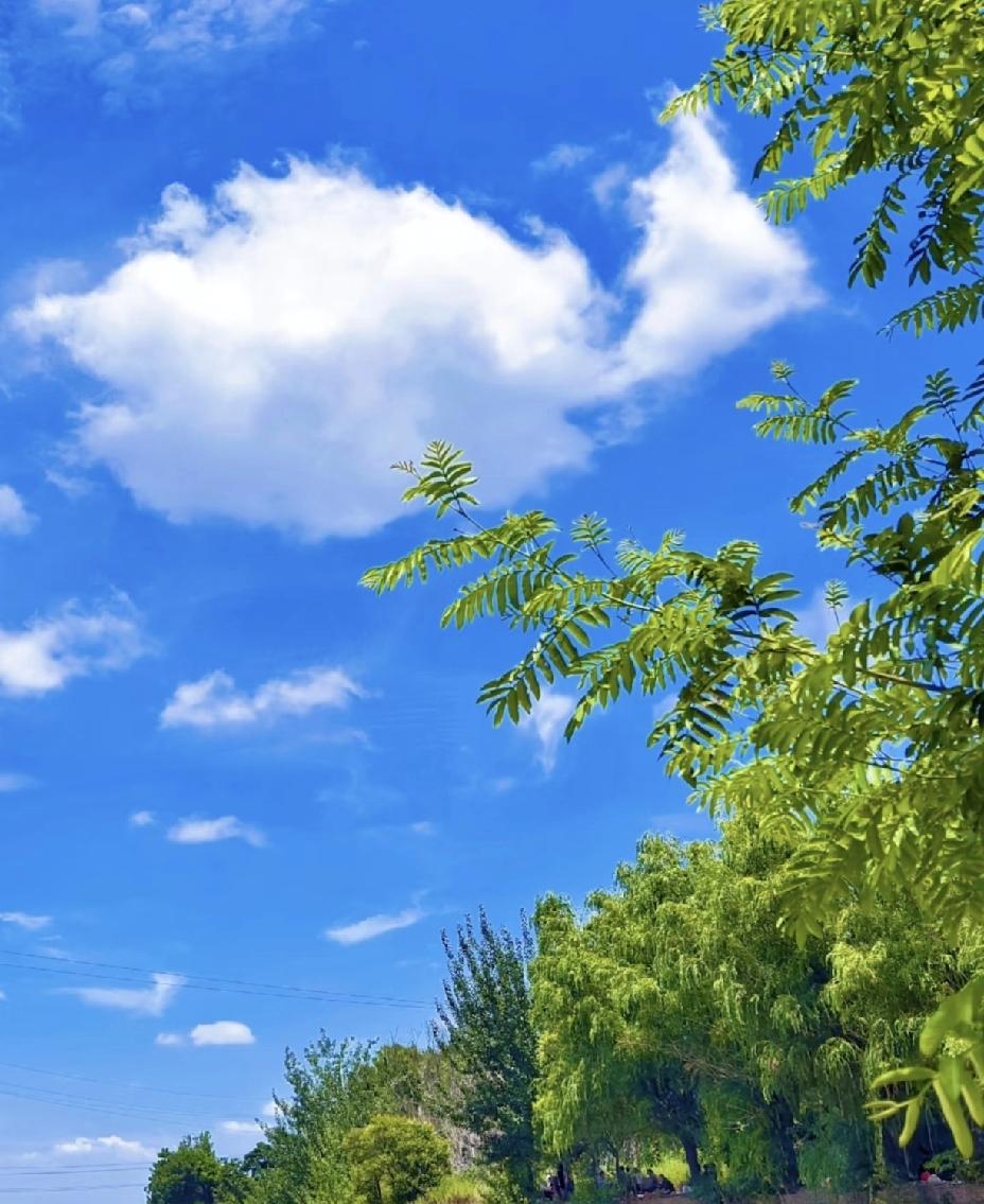 秋天最“热”的10个城市（以今天为例）：

1、福州：37℃

2、吉安：37℃