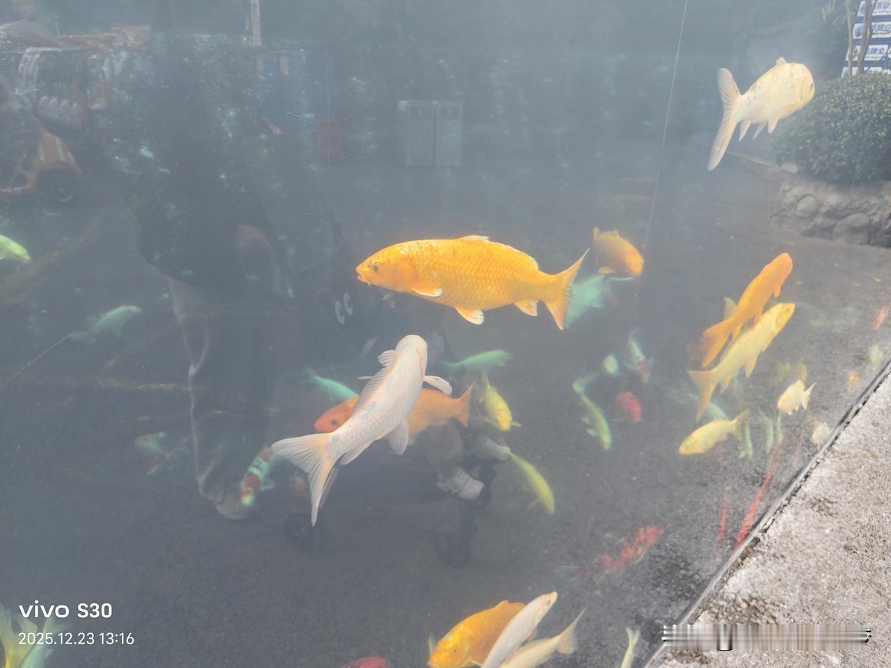 冬日生活打卡季