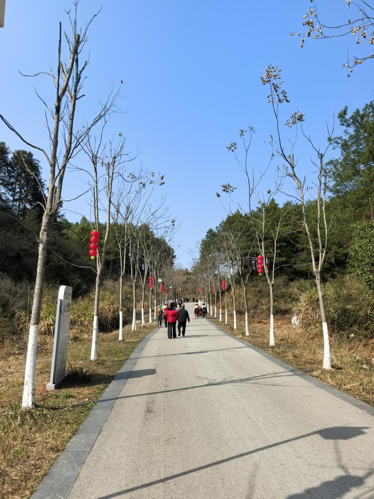 阳光下的春意盎然！

大年初三下午，天气晴好：人民公园散步，阳光下春意盎然！2月