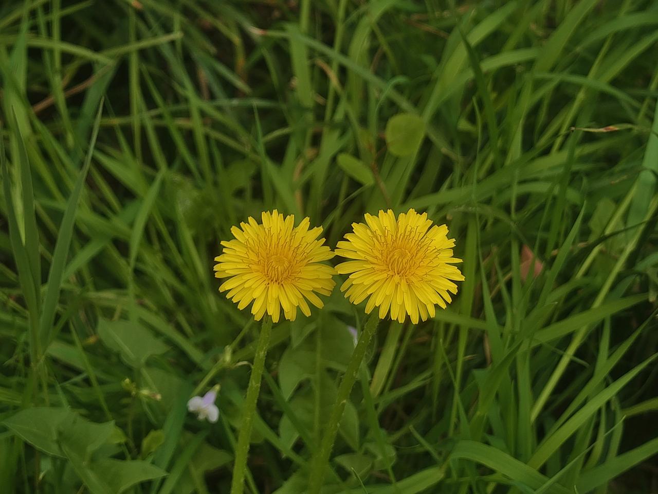 行书和隶书,大家更喜欢哪种? 行书和隶书，就像两种不同风格的舞者，各有魅力。
隶