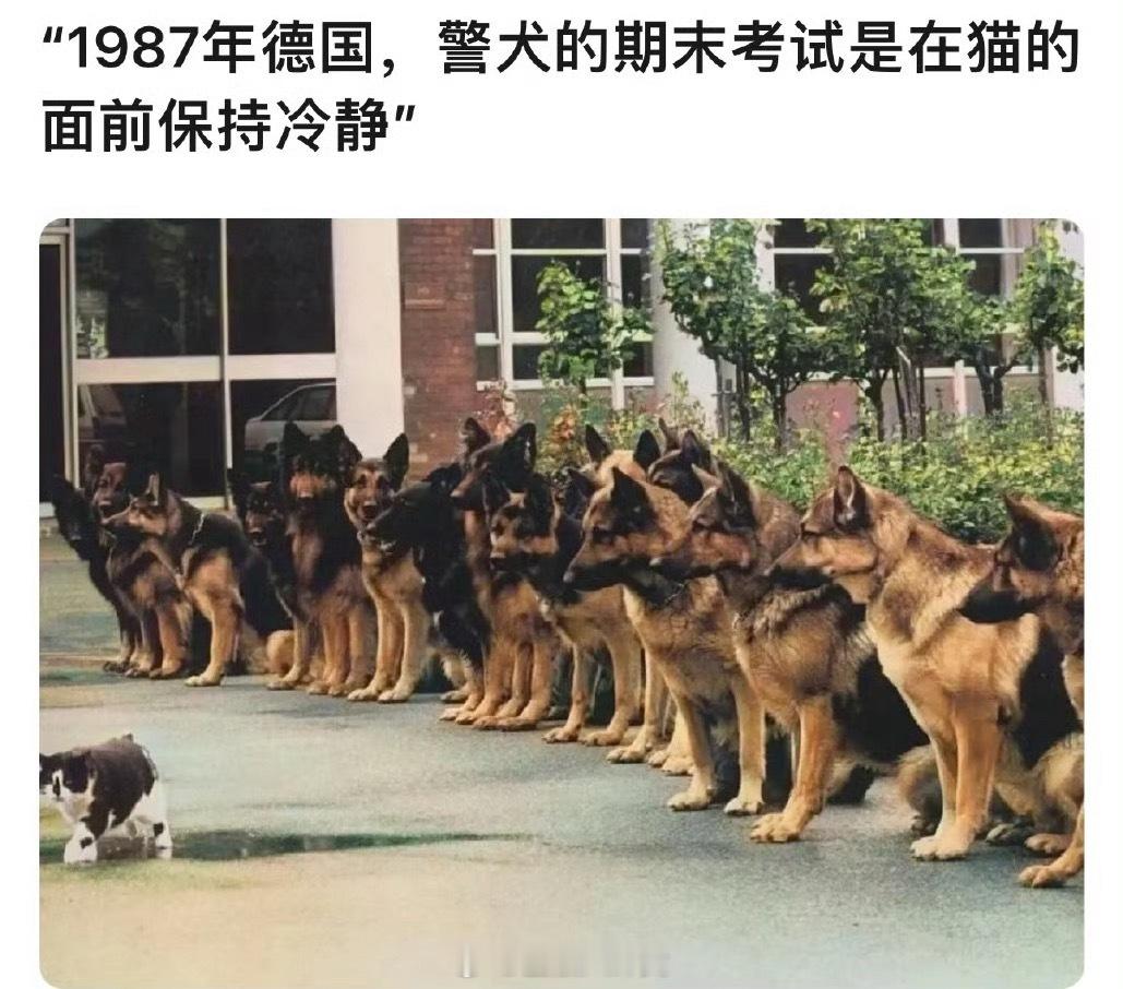 那很冷静了…… ​​​
