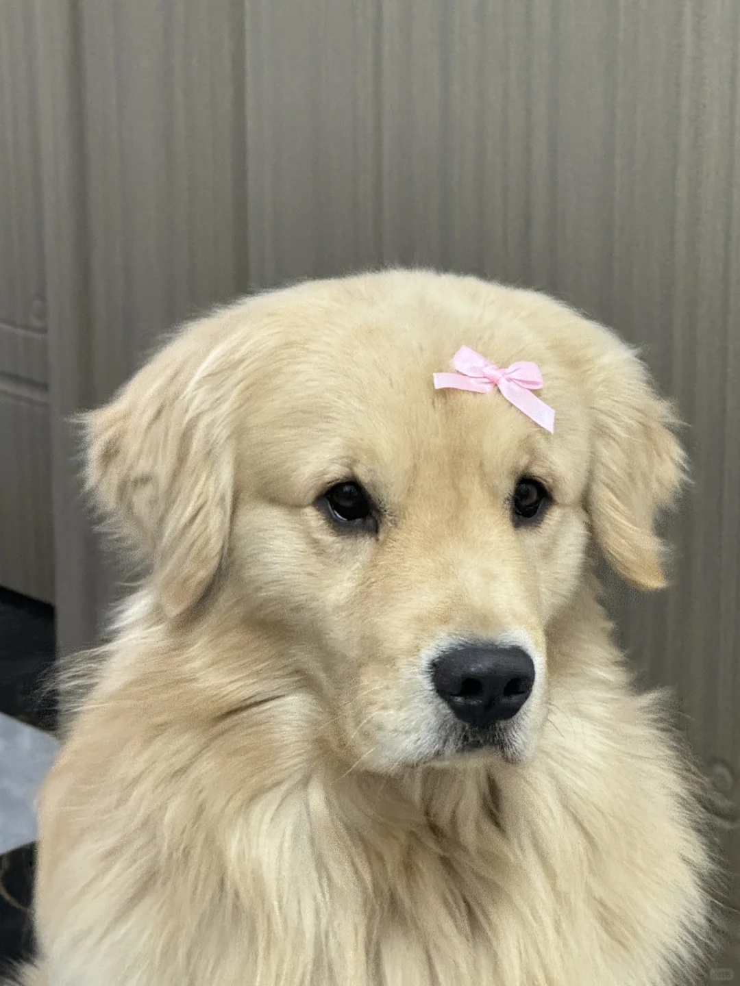 小ok好物分享｜Pdd篇