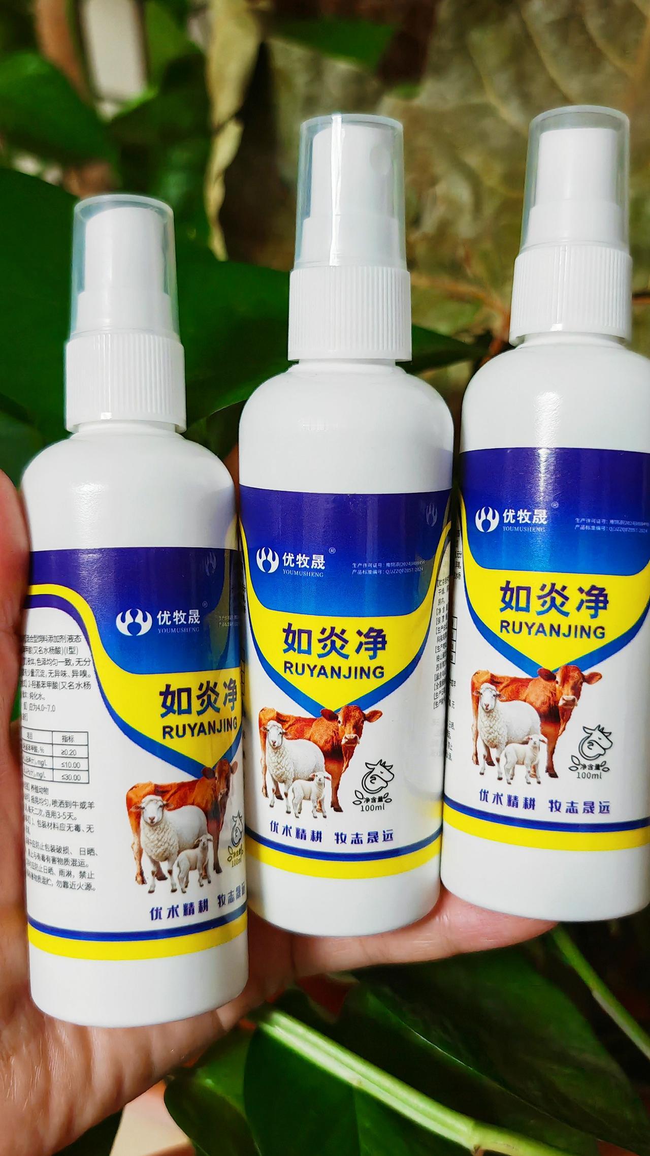 养羊人 农村养羊 养殖场专用 牛羊养殖