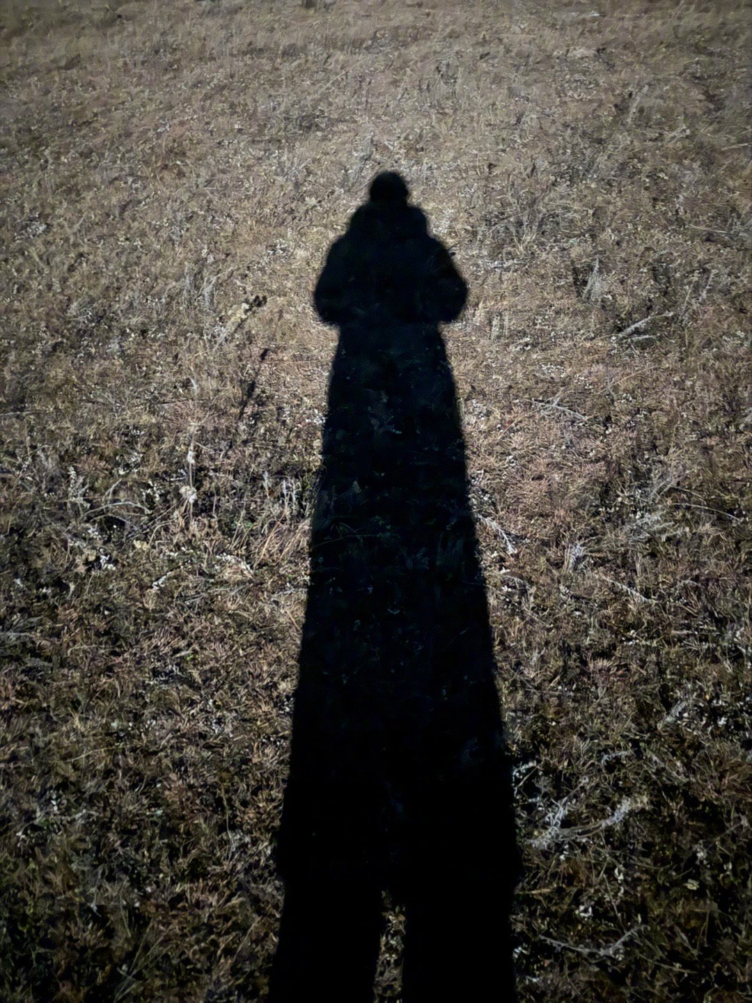 天道其实简单得很，概括为：你正在成为你现在的感受。你的感受是什么，你就是什么样的