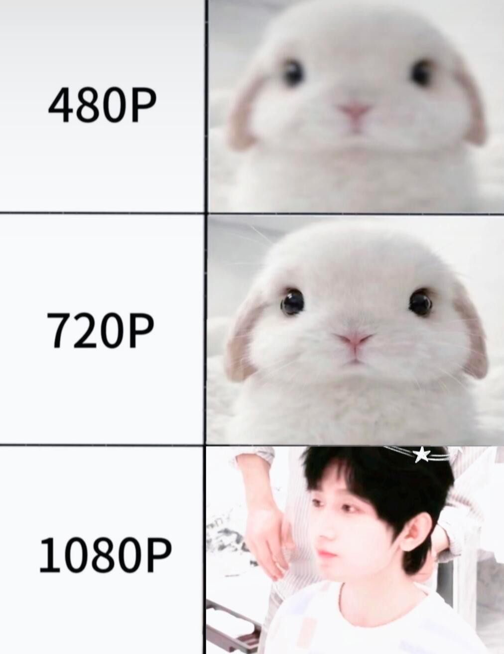 小兔子现出原形😯 ​​​