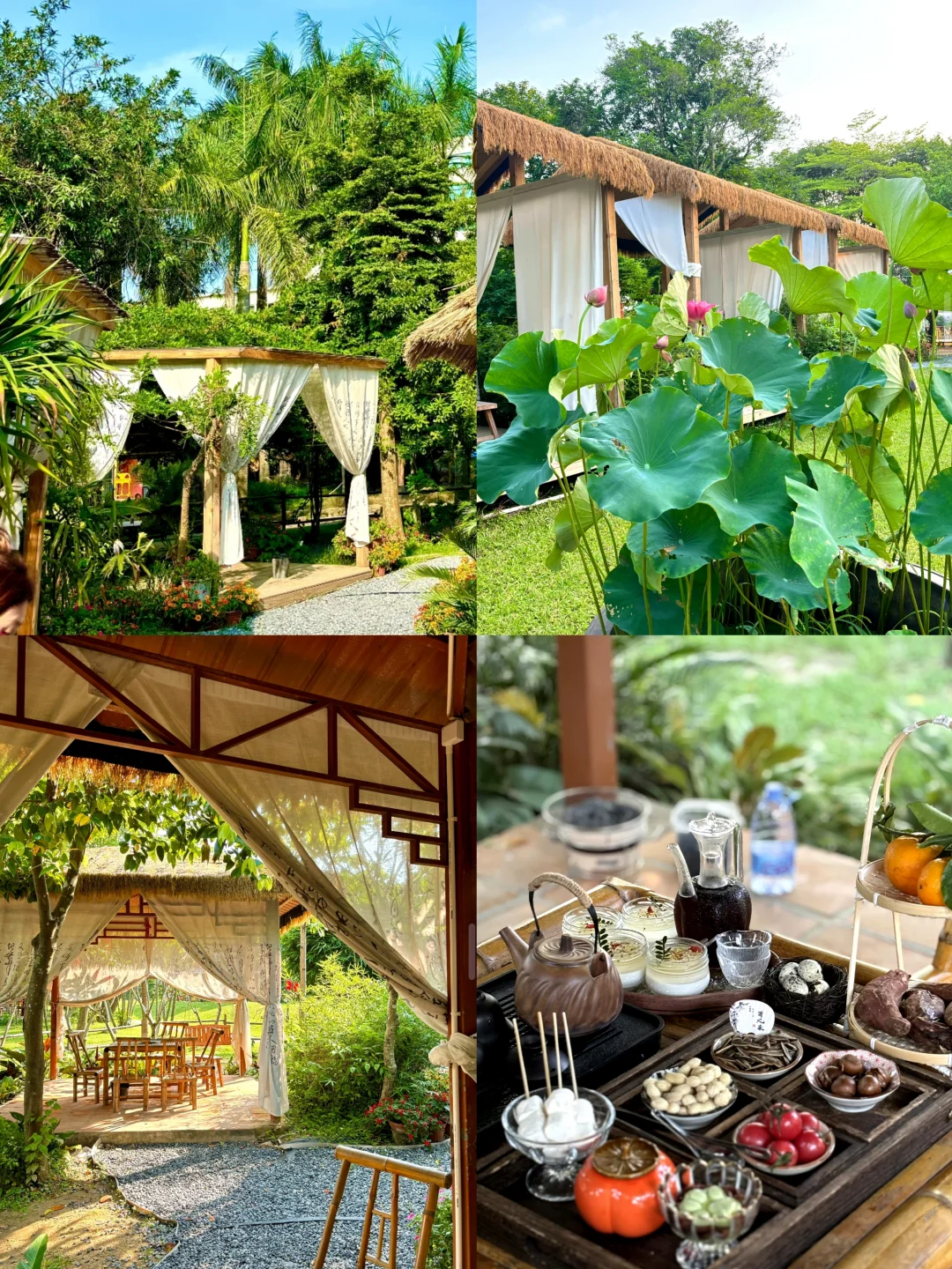 绿野仙踪🌿隐世小院喝茶🍵🍃