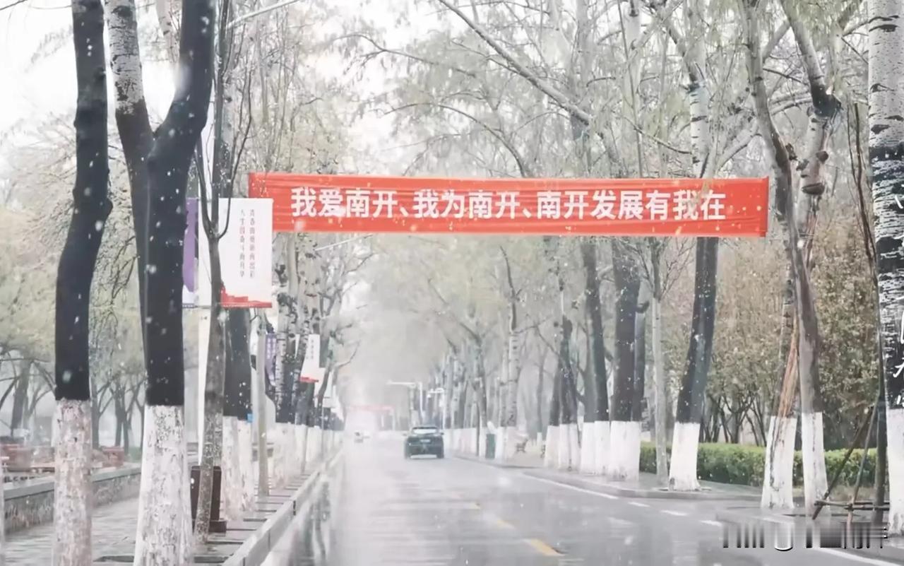三月春雪莅南开