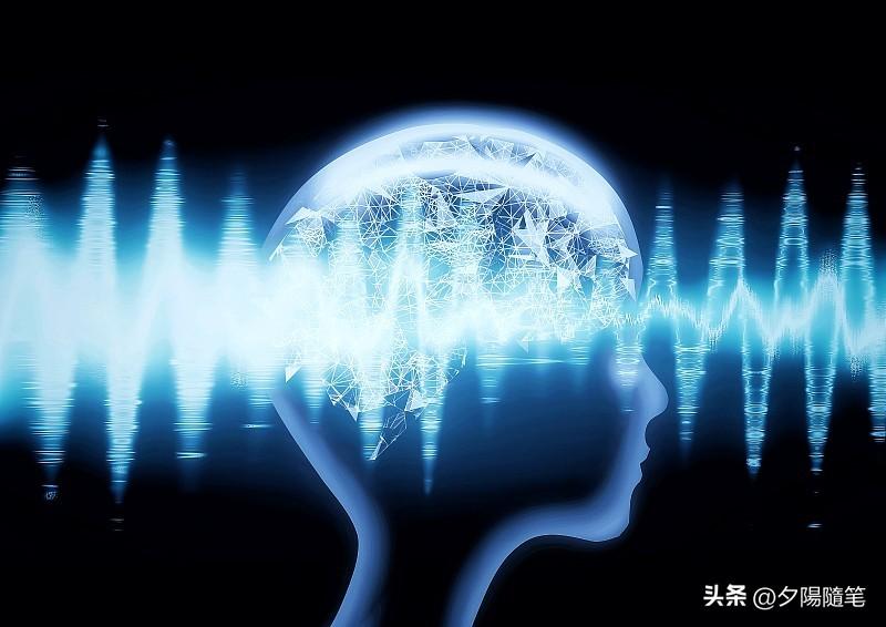 去年脑鸣最严重的时候，耳朵里24小时像塞了台开最大音量的老旧收音机，滋滋嗡嗡的混