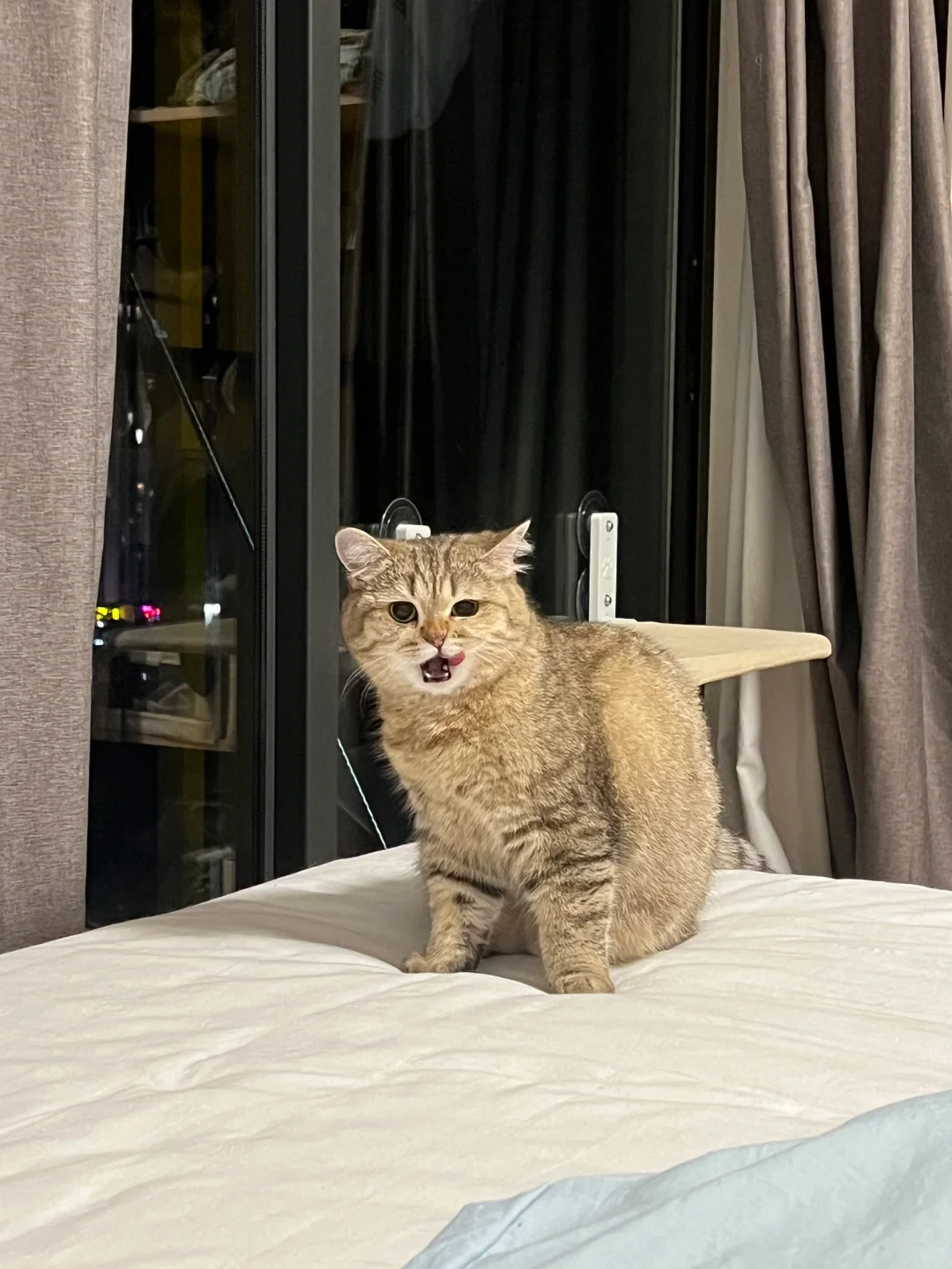 假小子
