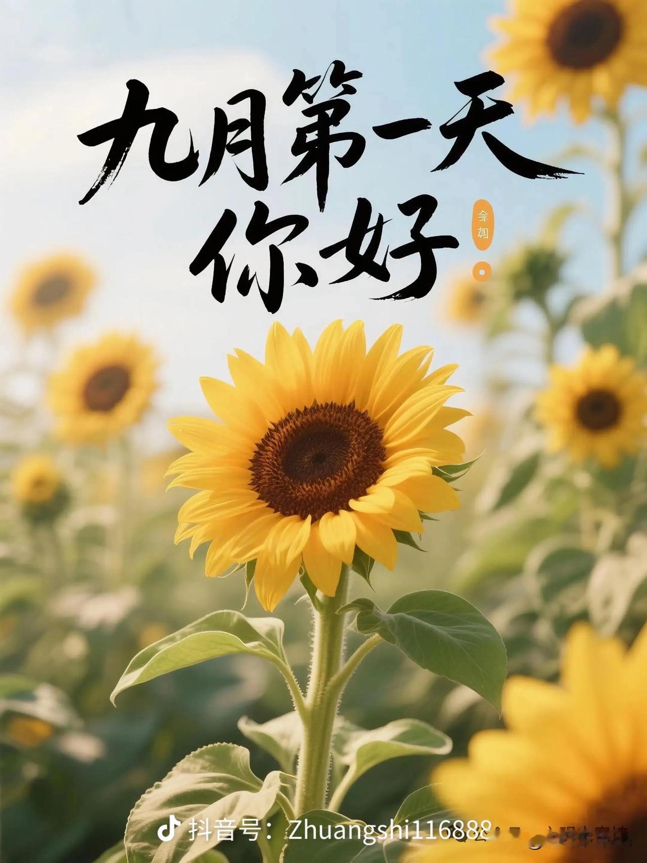 八月再见
九月你好
八月的余温尚存
九月的凉意已至
放下所有的遗憾
奔赴可期的未