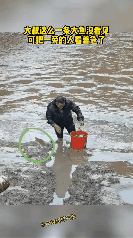 大爷这一套操作下来，鱼：我不要面子的吗？
这简直是对那条鱼最大的侮辱！