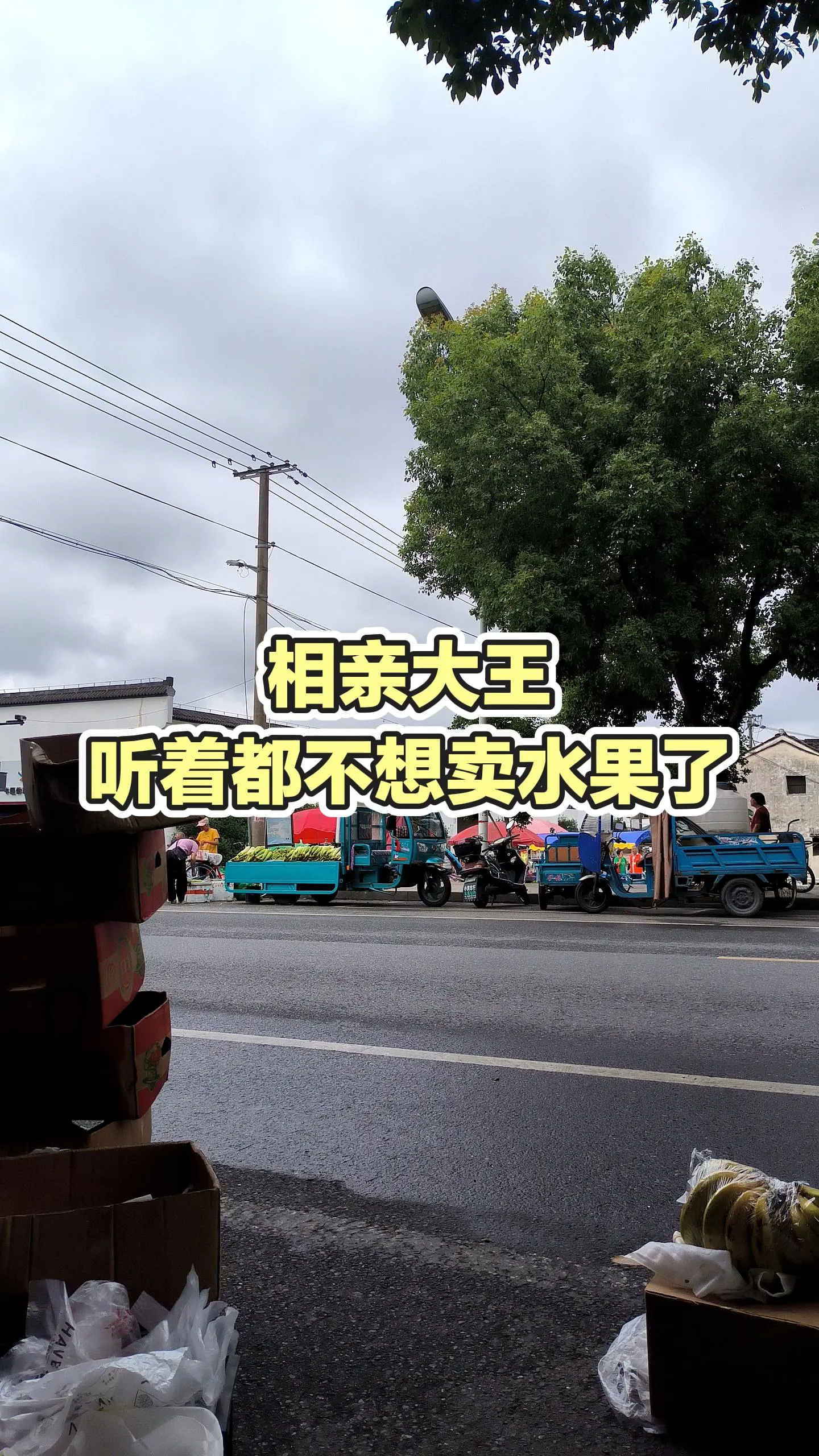每日分享