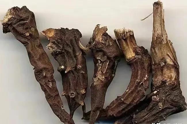 占小便宜吃大亏，甚至还会因为占小便宜丢失性命，2016年男子偷药店晾晒的中药，泡