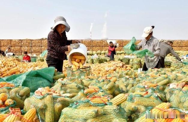 我妈姐妹三个，大姨是老师，退休工资6000元，小姨是工人，退休工资2500元，我