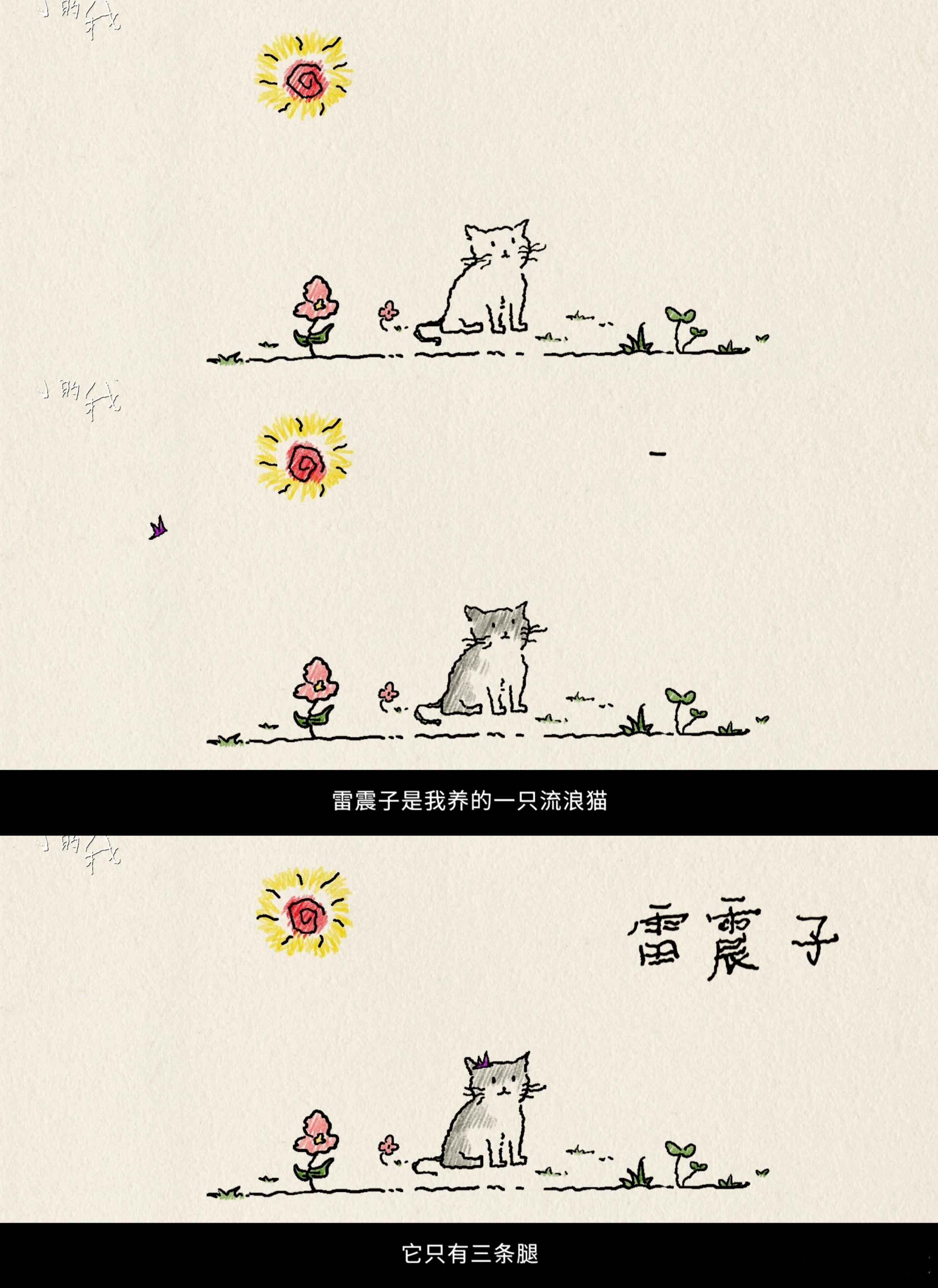 刘春和还是太全面了 《小小的我》新发布的片尾曲 MV，刘春和在里面简直大放异彩，