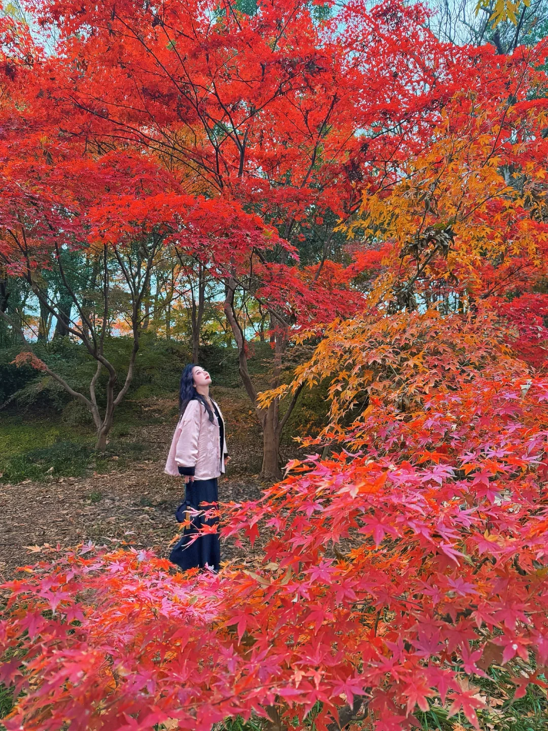 谁说南京赏枫只有栖霞山！？这里的红叶封神了