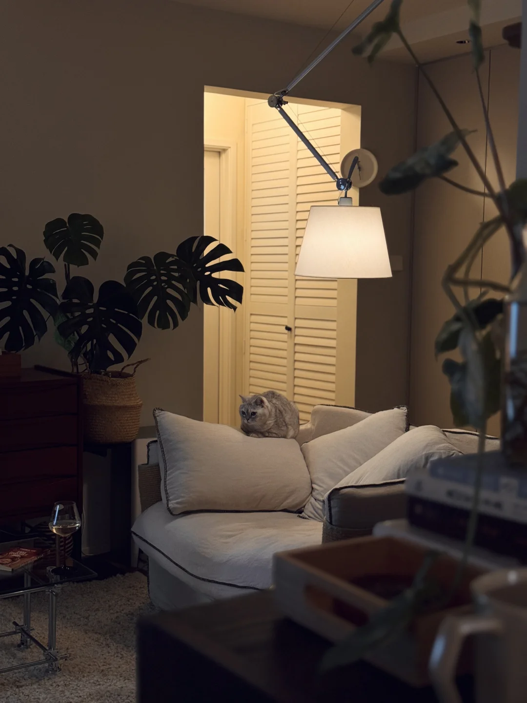 56平一人居｜✨夜晚的家 是100%属于我的家