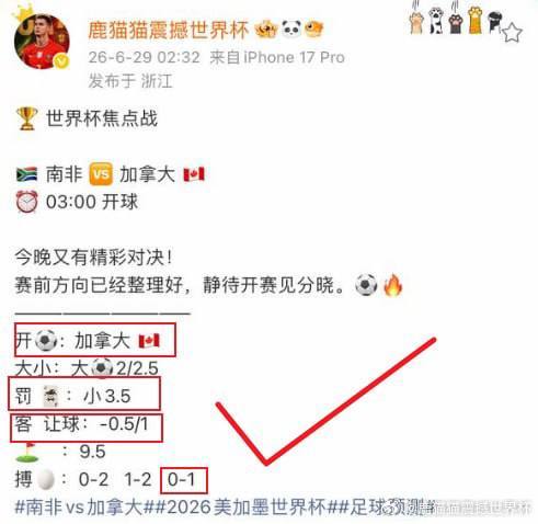 6月29日世界杯 1/16决赛，南非对阵加拿大。下半场补时阶段欧斯塔基奥奉献绝杀