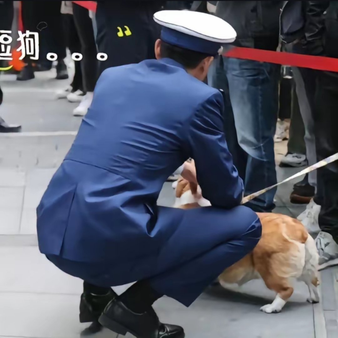 #北燃[超话]#北燃🙌🏻猫猫超绝大腿肉 绷紧的西装裤下是细腻柔软的大腿肉 好