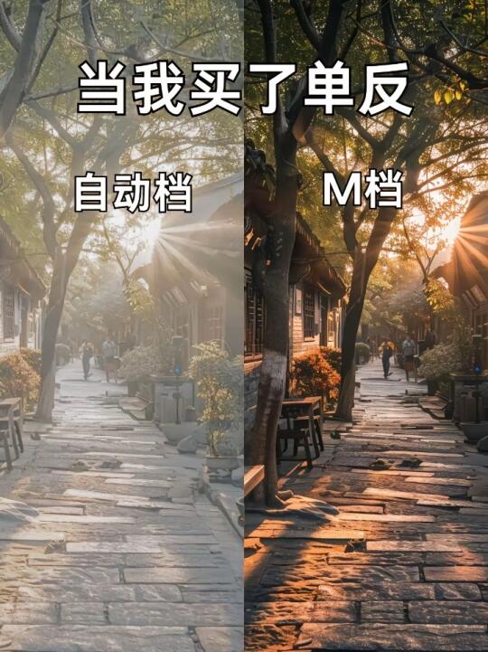 当我会了m档！