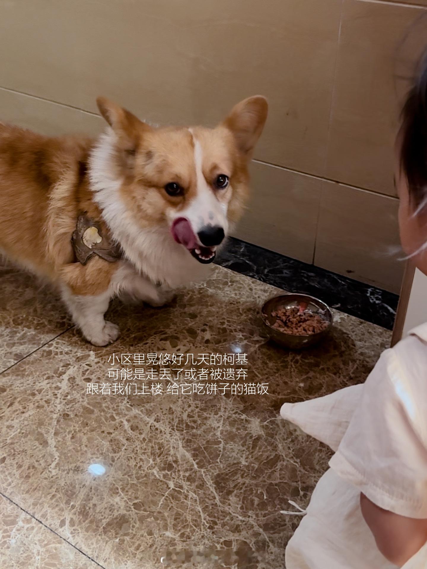 日常plog豆师傅兼试吃员生活的模样我的美食日记带娃日常好好吃饭宝宝辅食  ​​