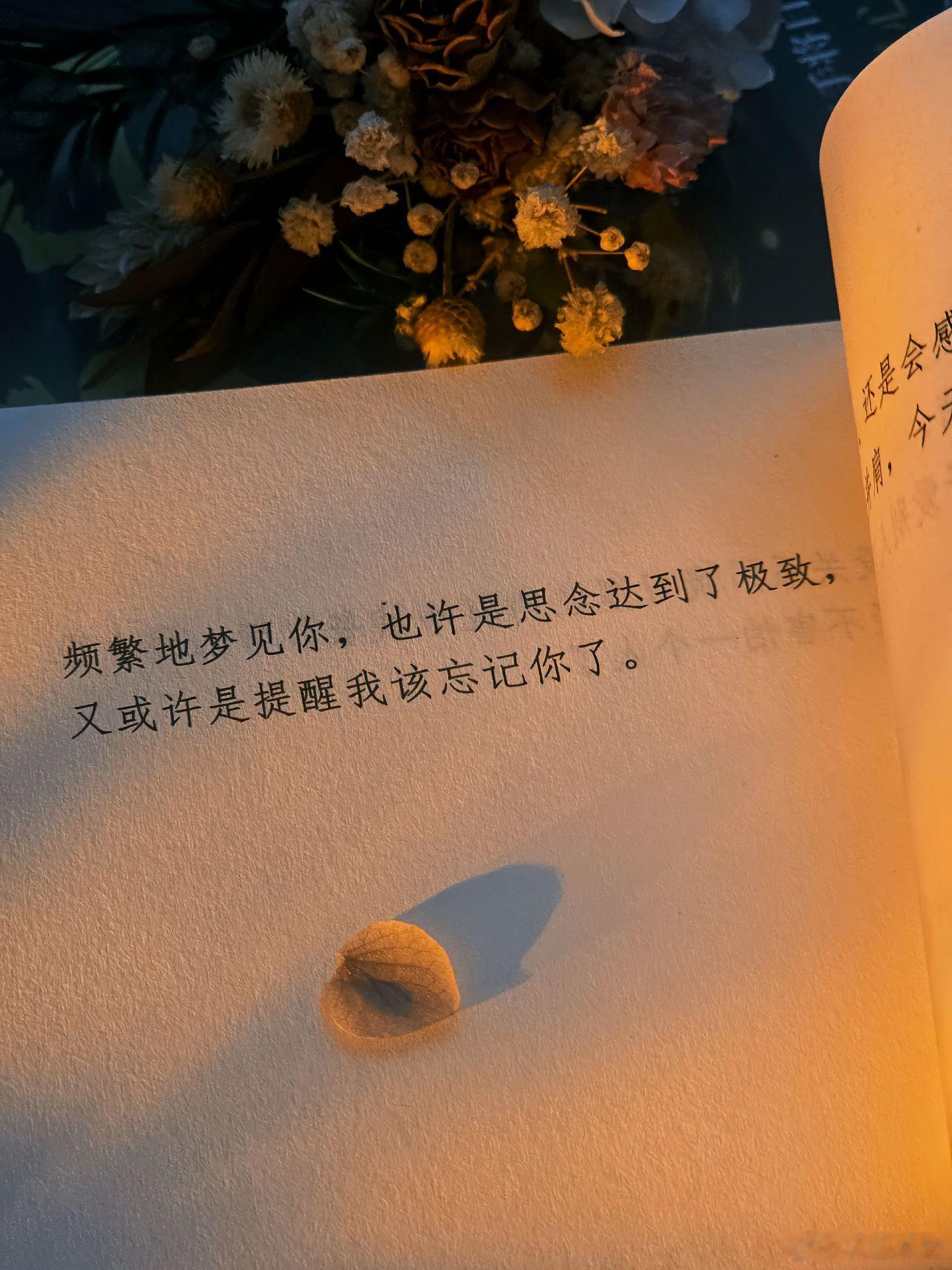 我又梦到你了，是思念还是该结束了。“频繁地梦见你，也许是思念达到了极致，又或许是