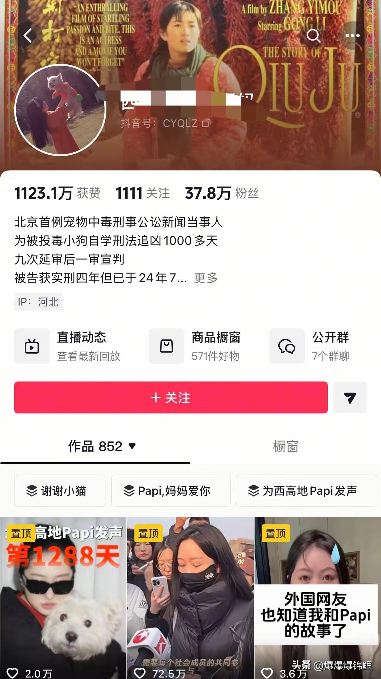 Papi妈妈借着狗中毒的事儿没完没了地作秀，还非得把狗抬到跟人一样的高度。

爱