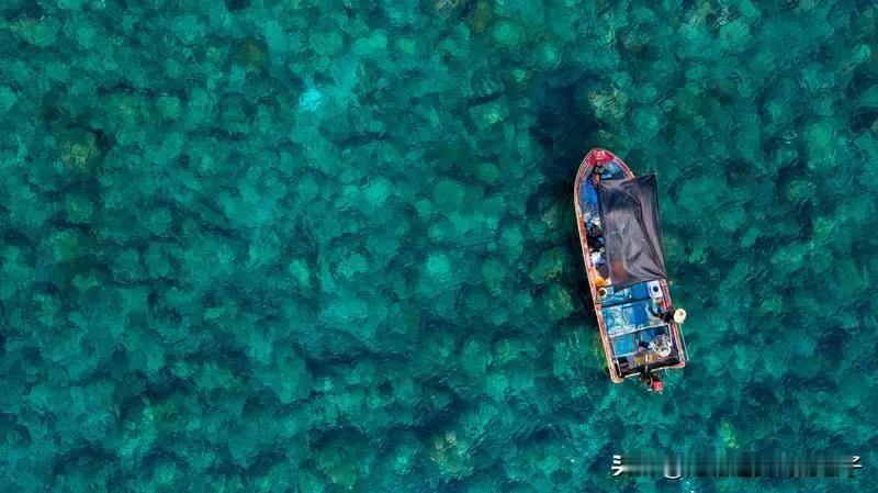 美军到底能不能成功打捞南海坠海舰载机，还真不好说。10月26日，“尼米兹”号航母