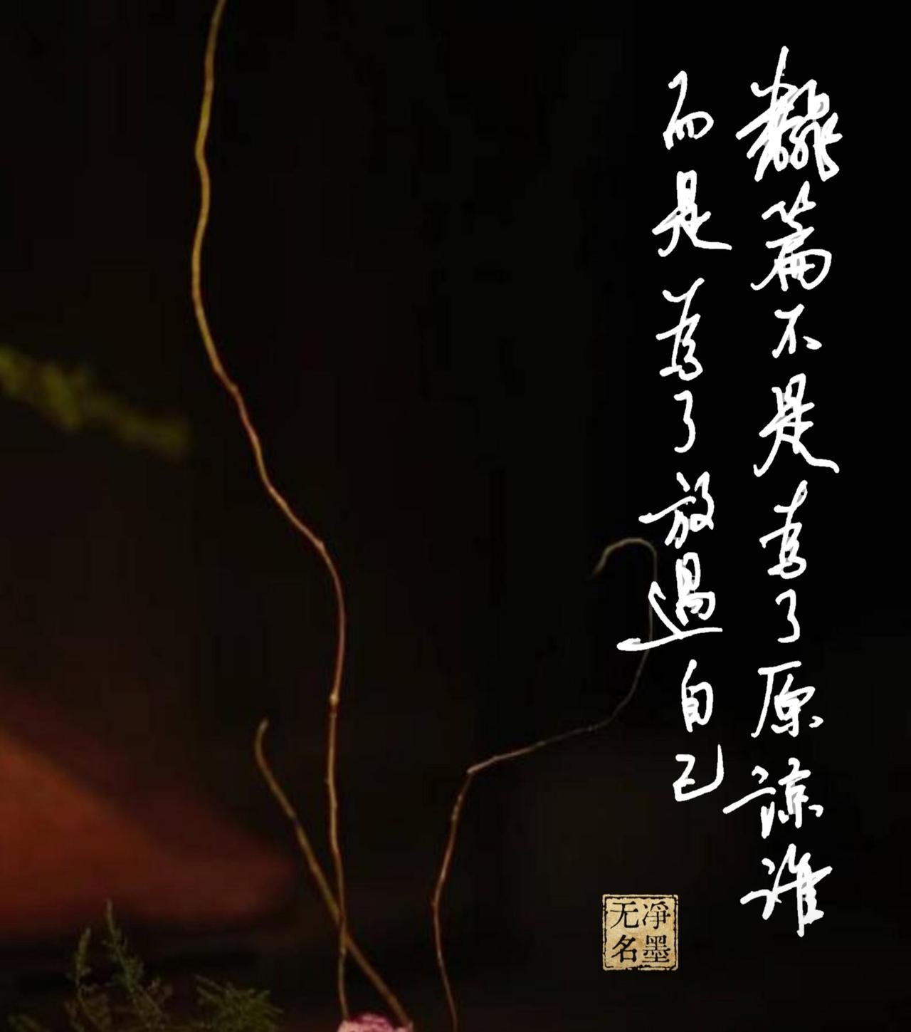 文字和图案搭配的契合吗？
布景：深色背景搭配细枝枯枝，静谧清冷的氛围感，完美烘托