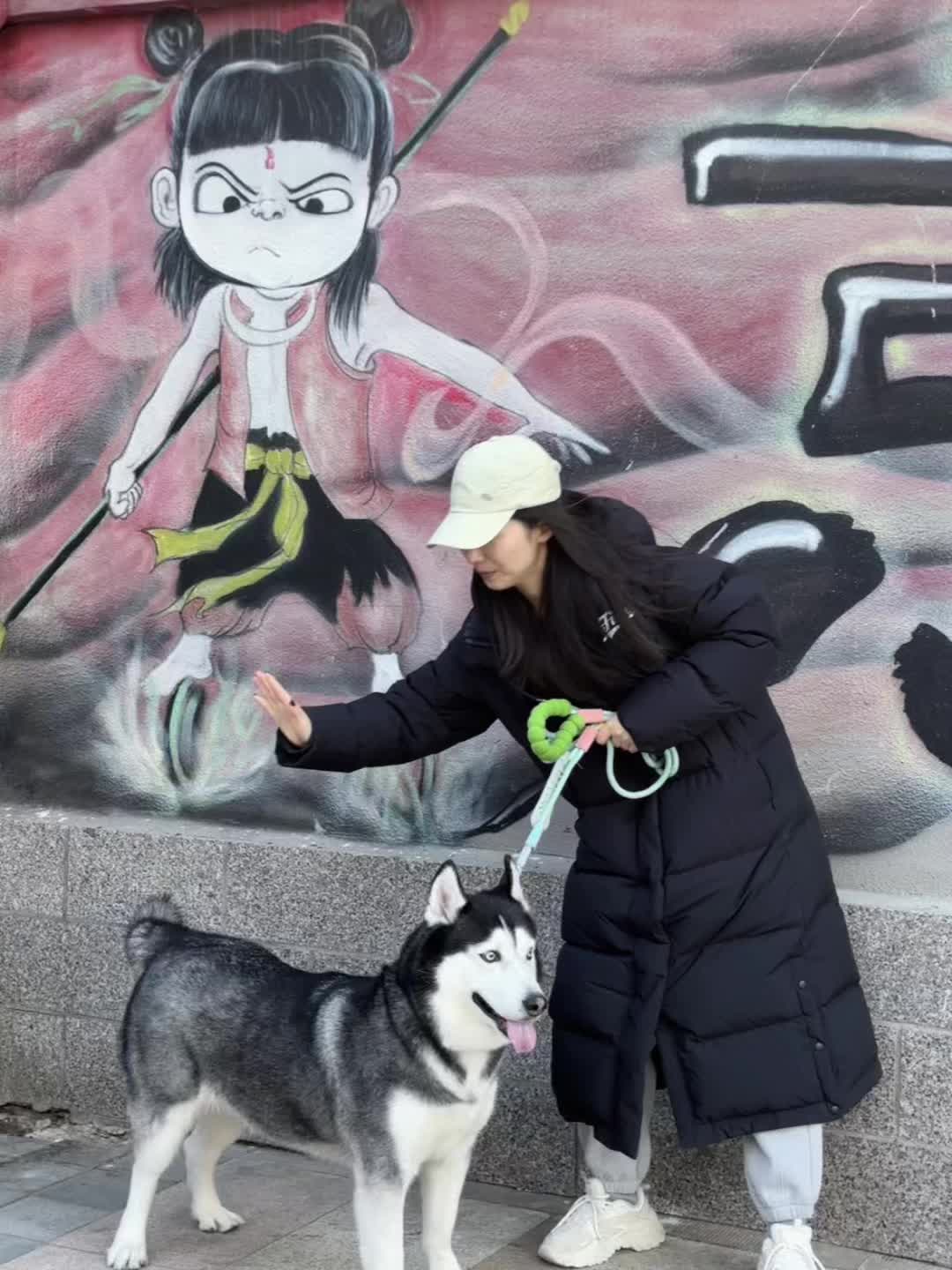 新年快乐！ 走在路上经常碰到人问“这狗还小吧，这么活泼”，我说“已经7岁啦～！”