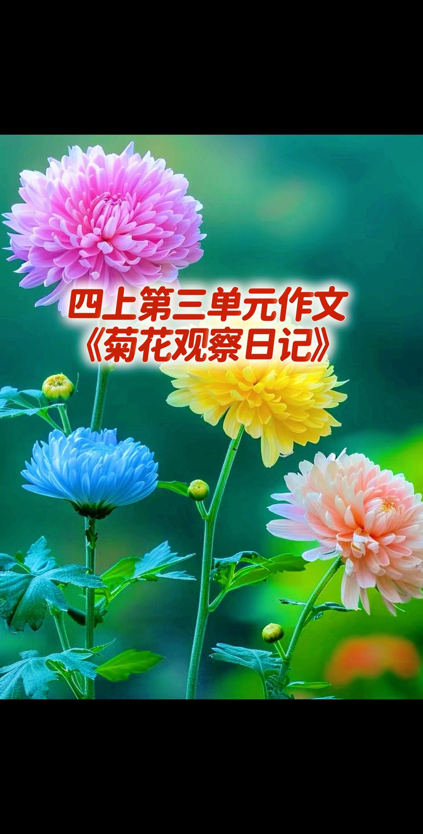 四上第三单元习作，同步优秀范文来了！家长必读，小学四年级上册第三单元作...