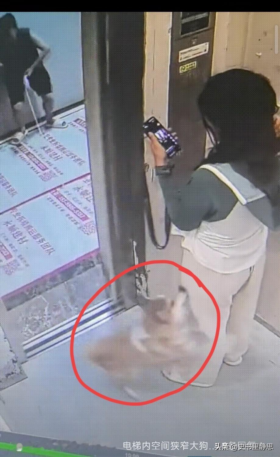 6月14日，福建泉州某高层小区，女子坐着电梯下来，运行到20层时，电梯停了下来，