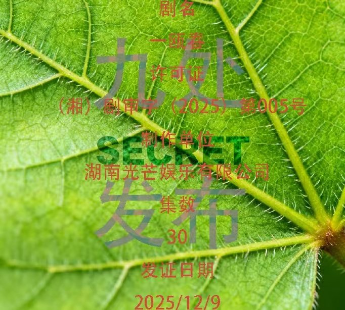 许凯周也一瓯春过审许凯周也新剧一瓯春过审许凯周也新剧一瓯春过审了 