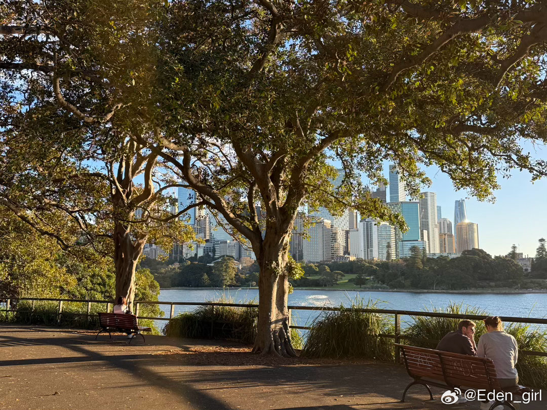那个美丽的傍晚，皇家植物园，花在阳光下跳舞，光在水中闪烁，一切都被橙色的光勾勒，